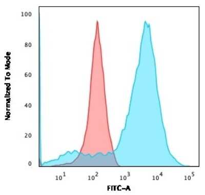 Flow Cytometry: NF-L Antibody (NR-4) [NBP2-44891]