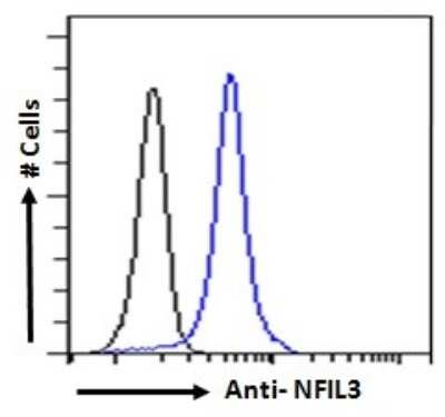 Flow Cytometry: NFIL3 Antibody [NB100-842]