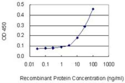 ELISA: NFYC Antibody (1D3) [H00004802-M01]
