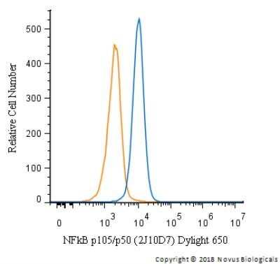 Flow Cytometry: NFkB p105/p50 Antibody (2J10D7) - Azide and BSA Free [NBP2-80872]