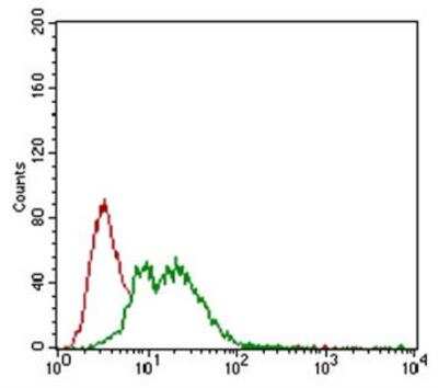 Flow Cytometry: NG2/MCSP Antibody (LHM 2) [NB100-2688]