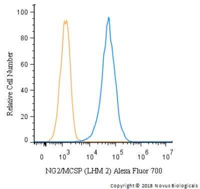 Flow Cytometry: NG2/MCSP Antibody (LHM 2) [NB100-2688]