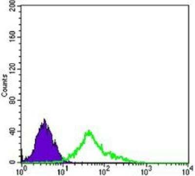 Flow Cytometry: NGFR/TNFRSF16/p75NTR Antibody (2F1C2) - BSA Free [NBP1-51590]