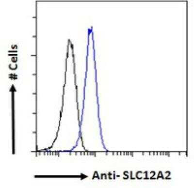 Flow Cytometry: NKCC1/SLC12A2 Antibody [NBP1-52148]