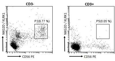 Flow Cytometry: NKG2D/CD314 Antibody [NB100-1891]