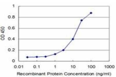 ELISA: NKX3.1 Antibody (3C1) [H00004824-M03]