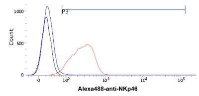 Flow Cytometry: NKp46/NCR1 Antibody (n1D9) - BSA Free [NBP1-04311]