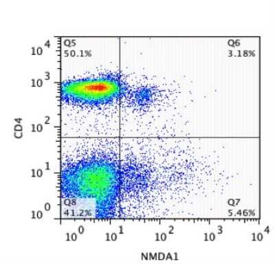Flow Cytometry: NMDA R, NR1 Subunit Antibody - Azide and BSA Free [NB300-114]