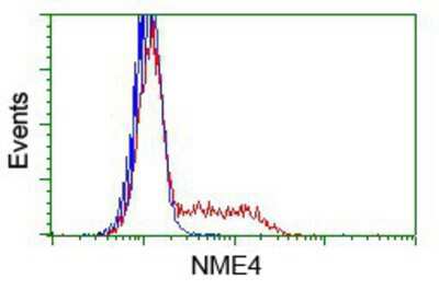 Flow Cytometry: NME4 Antibody (OTI1A5) [NBP2-02487]