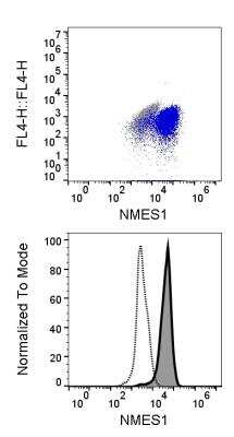 Flow Cytometry: NMES1 Antibody [NBP1-98391]