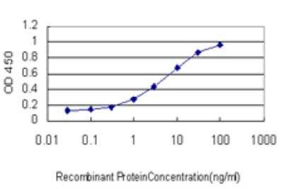 ELISA: NNT Antibody (1D6) [H00023530-M01]