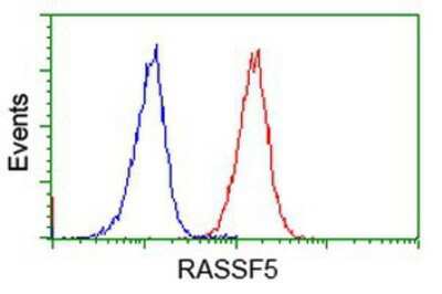 Flow Cytometry: NORE1 Antibody (OTI1H2) [NBP2-03691]