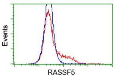 Flow Cytometry: NORE1 Antibody (OTI1H2) [NBP2-03691]