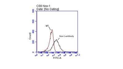 Flow Cytometry: NOX1 Antibody [NBP1-31546]