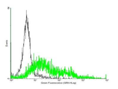 Flow Cytometry: NPY5R Antibody [H00004889-B01P]