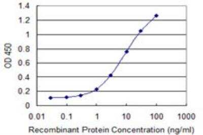 ELISA: NRK1 Antibody (2A10) [H00054981-M01]