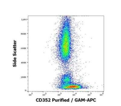 Flow Cytometry: NTB-A/SLAMF6/CD352 Antibody (hsF6.4.20) - BSA Free [NBP3-09135]