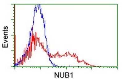 Flow Cytometry: NUB1/NYREN18 Antibody (OTI2G1) - Azide and BSA Free [NBP2-73082]