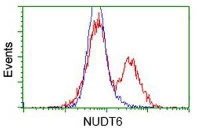 Flow Cytometry: NUDT6 Antibody (OTI9D12) - Azide and BSA Free [NBP2-73121]