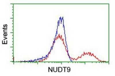 Flow Cytometry: NUDT9 Antibody (OTI7A12) - Azide and BSA Free [NBP2-73126]