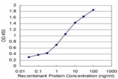 ELISA: NUPL1 Antibody (3G11) [H00009818-M01]