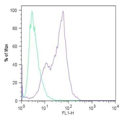 Flow Cytometry: Nanog Antibody (23D2-3C6) [NBP2-22632]