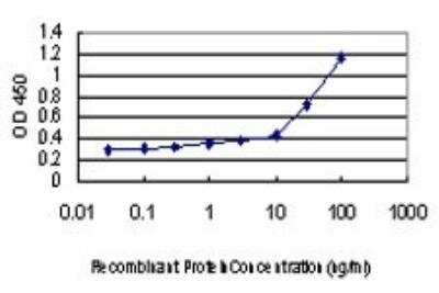 ELISA: Necdin Antibody (1B3) [H00004692-M02]