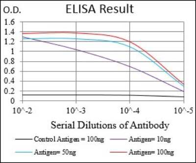 ELISA: Neprilysin/CD10 Antibody (5E9A5) - BSA Free [NBP2-37301]