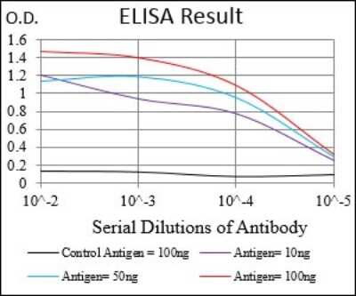 ELISA: Neprilysin/CD10 Antibody (7D4B1) - BSA Free [NBP2-37303]