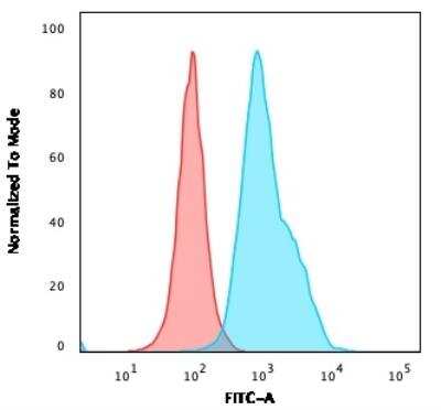 Flow Cytometry: Neprilysin/CD10 Antibody (CB-CALLA) - Azide and BSA Free [NBP2-47961]