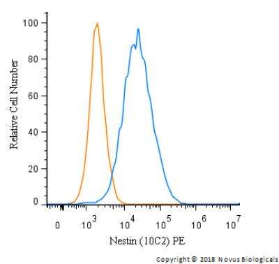 Flow Cytometry: Nestin Antibody (10C2) - BSA Free [NB300-266]