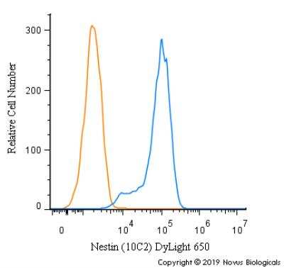 Flow Cytometry: Nestin Antibody (10C2) - BSA Free [NB300-266]