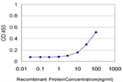 ELISA: Netrin G2 Antibody (4F11) [H00084628-M01]