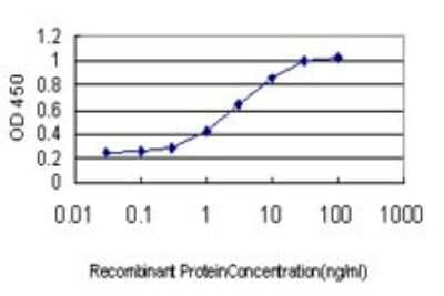 ELISA: Neuregulin-2 Antibody (3D2) [H00009542-M01]
