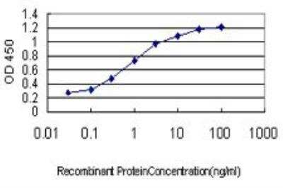 ELISA: NeuroD1 Antibody (3H8) [H00004760-M01]
