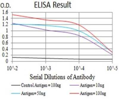 ELISA: Neutrophil Elastase/ELA2 Antibody (6B6B10) - BSA Free [NBP2-61658]