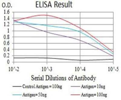 ELISA: Neutrophil Elastase/ELA2 Antibody (6B6G6) - BSA Free [NBP2-61657]