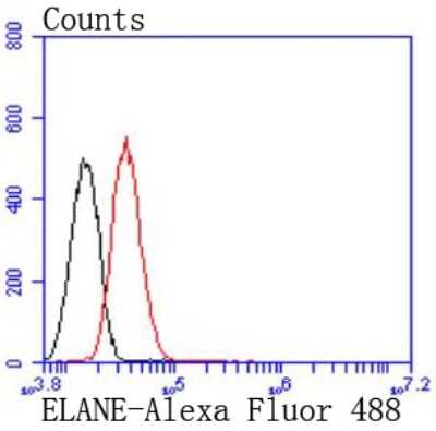 Flow Cytometry: Neutrophil Elastase/ELA2 Antibody (JF098-6) [NBP2-66972]