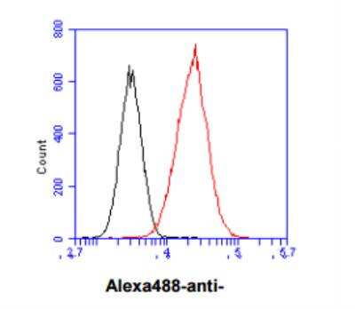 Flow Cytometry: Nicotinamide N-Methyltransferase/NNMT Antibody (AT11G11) - BSA Free [NBP2-50581]