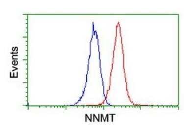 Flow Cytometry: Nicotinamide N-Methyltransferase/NNMT Antibody (OTI3D8) - Azide and BSA Free [NBP2-72984]