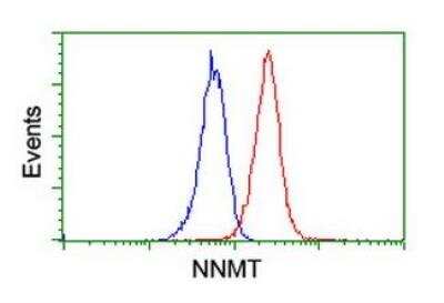 Flow Cytometry: Nicotinamide N-Methyltransferase/NNMT Antibody (OTI3D8) [NBP2-00537]