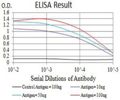 ELISA: Nicotinic Acetylcholine R alpha 2/CHRNA2 Antibody (7G12H9) - BSA Free [NBP2-61667]