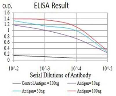 ELISA: Nicotinic Acetylcholine R alpha 3/CHRNA3 Antibody (6D3A10) - BSA Free [NBP2-61673]
