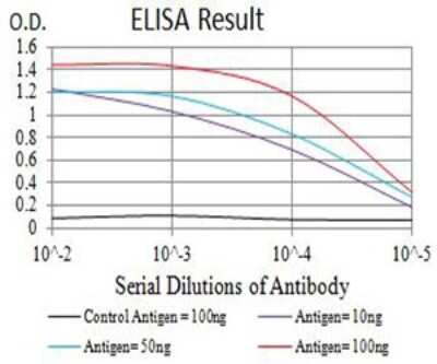 ELISA: Nicotinic Acetylcholine R alpha 5/CHRNA5 Antibody (2D2D10) - BSA Free [NBP2-61677]
