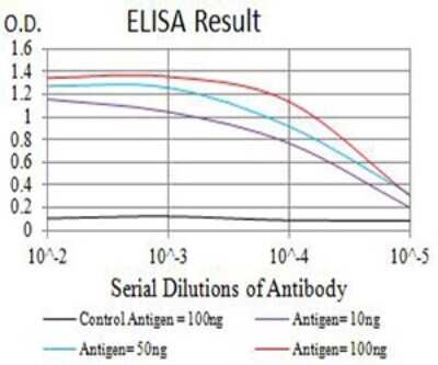 ELISA: Nicotinic Acetylcholine R alpha 5/CHRNA5 Antibody (8F11G8) - BSA Free [NBP2-61678]