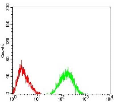 Flow Cytometry: Nicotinic Acetylcholine R alpha 5/CHRNA5 Antibody (8F11G8) - BSA Free [NBP2-61678]