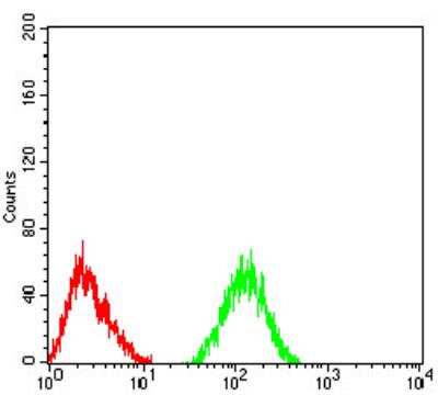 Flow Cytometry: Nicotinic Acetylcholine R alpha 6/CHRNA6 Antibody (5B6G8) - BSA Free [NBP2-61679]