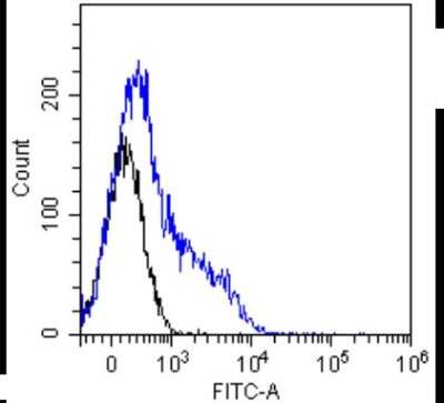 Flow Cytometry: Notch-1 Antibody (E6) - Chimeric - Azide and BSA Free [NBP2-62557]