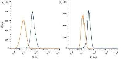 Flow Cytometry: Notch-1 Antibody (mN1A) - BSA Free [NB100-78486]
