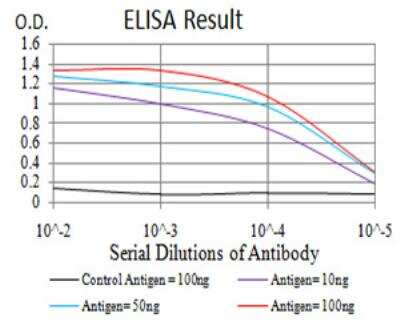 ELISA: Notch-3 Antibody (3E2D9) - BSA Free [NBP2-52522]